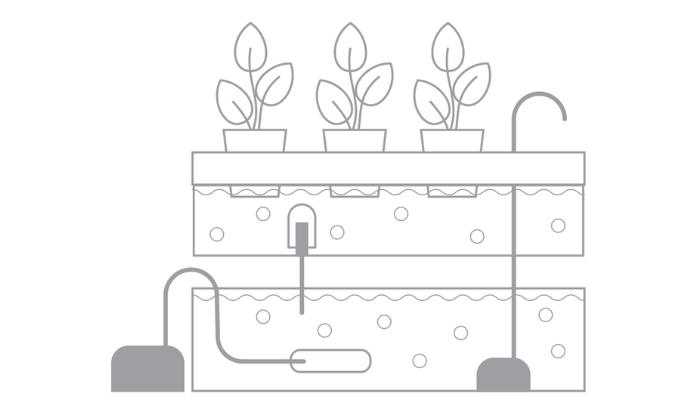 Das richtige Hydroponik-System für Ihre Bedürfnisse wählen