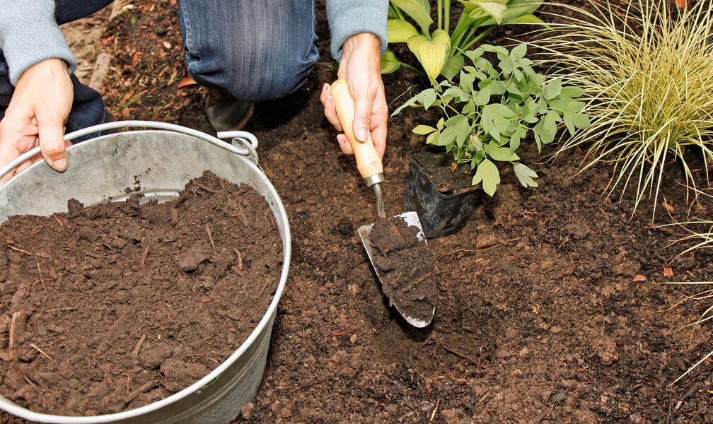 How to Increase the Humus Content of Your Garden Soil