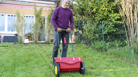 Lawn Over-Fertilization: How to Recognize and Avoid the Problem