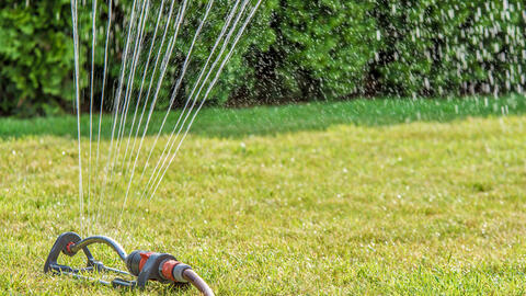 Lawn Over-Fertilization: How to Recognize and Avoid the Problem