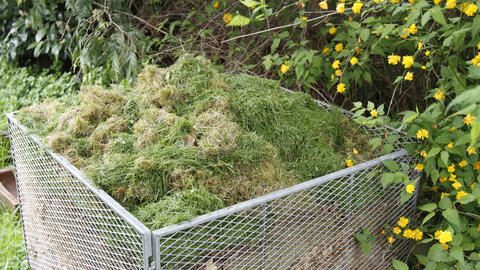 How Can I Compost Grass Clippings?