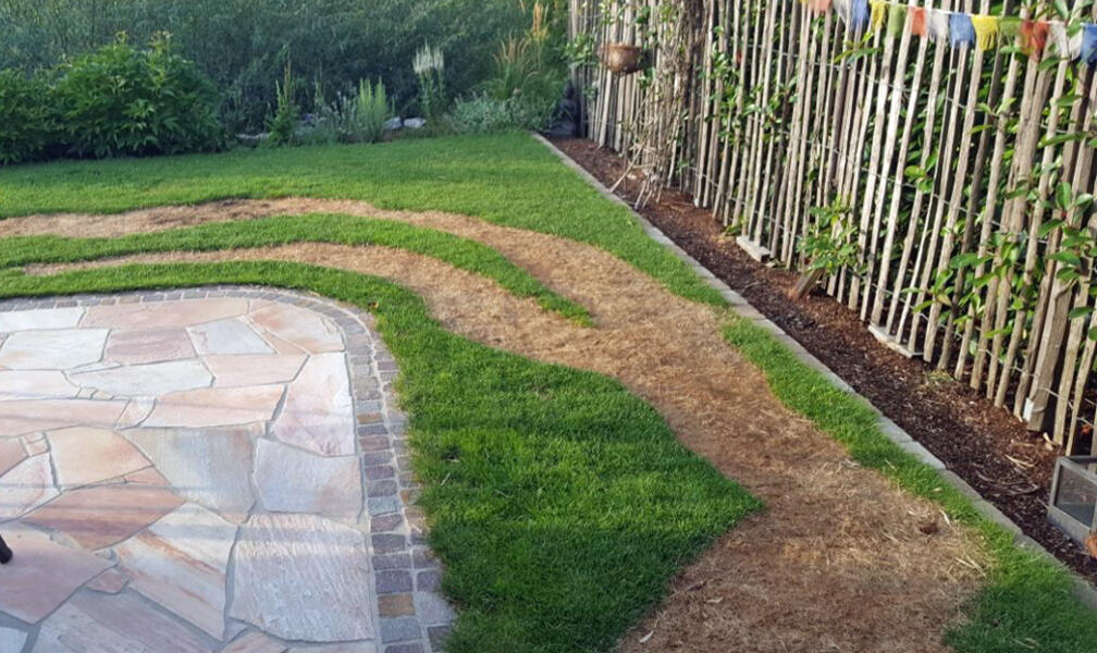 Lawn Over-Fertilization: How to Recognize and Avoid the Problem