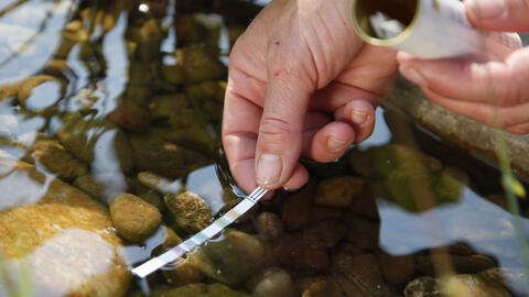 Your Pond Water Is Green? Here’s How to Keep It Clear