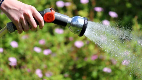 Chasing away cats: 5 cat deterrent methods in comparison