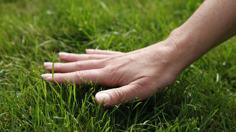 11 Tips for Mowing Your Lawn