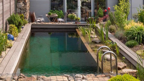 Everything You Need to Know About Natural Pools: Design, Care & Costs
