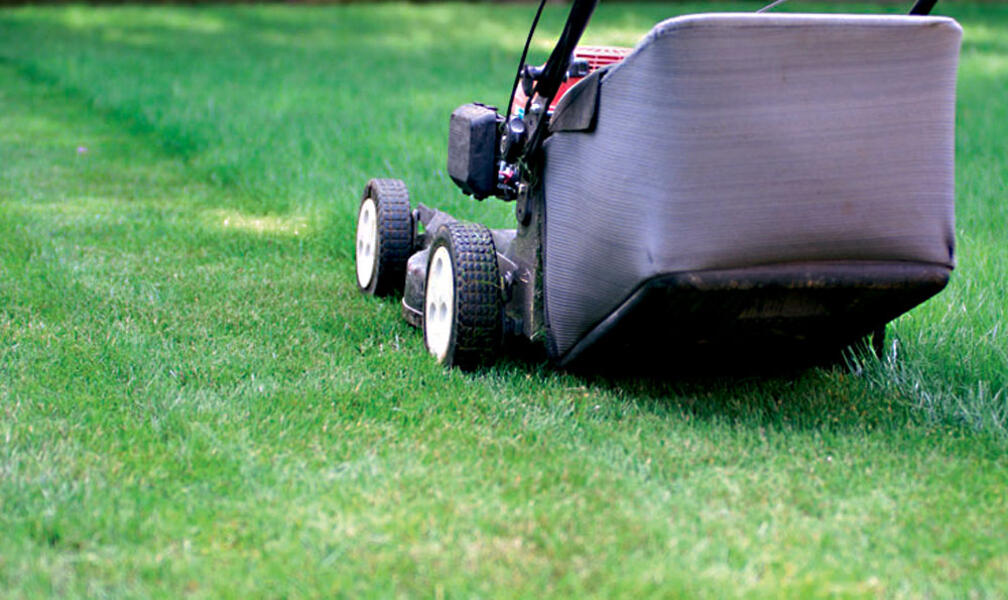 Optimal Lawn Mowing Height: How to Mow Your Lawn Correctly for a Healthy, Weed-Free Lawn